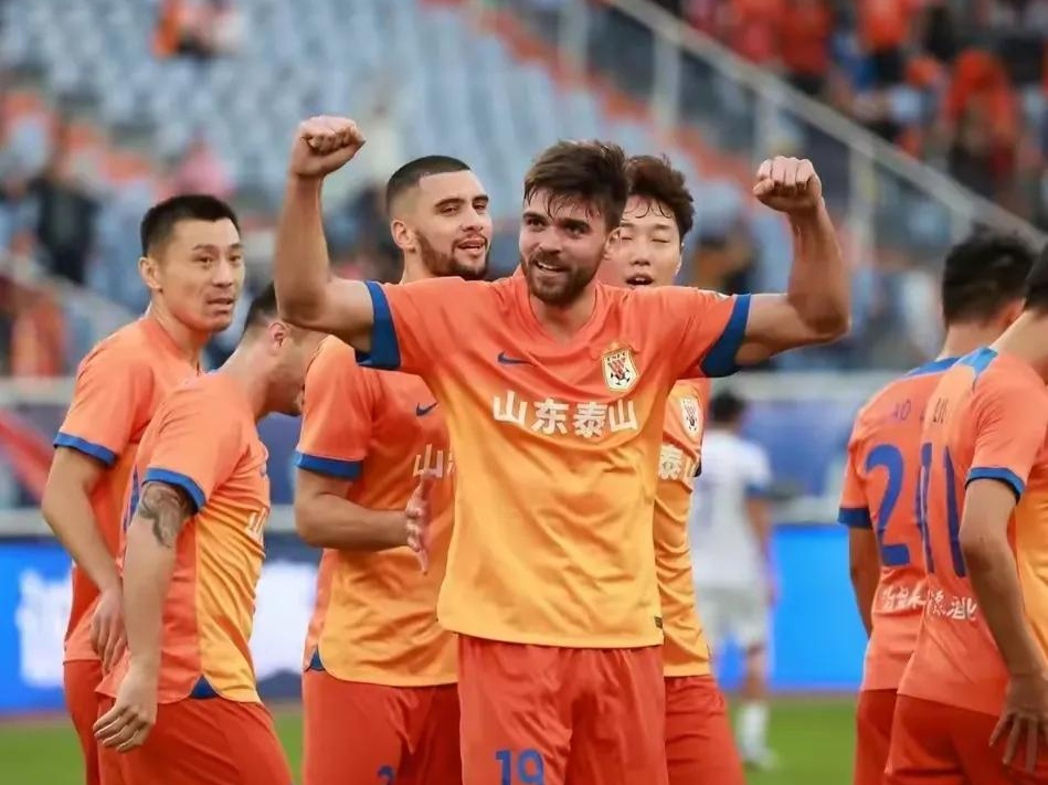 官方网站-丈人山杜甫的译文